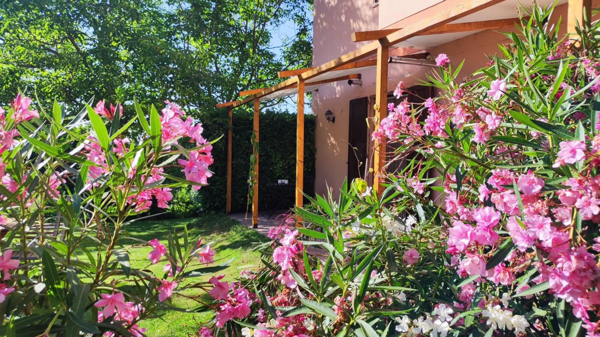 Camping Le Marche Apartments Gualdo di Macerata Exterior photo